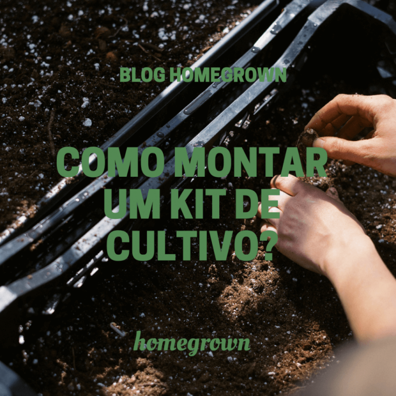 Como montar um Kit de Cultivo Completo para Cultivar em casa