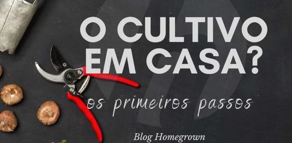 Como começar a cultivar em casa